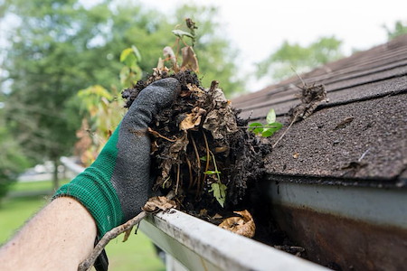 Gutter clean out